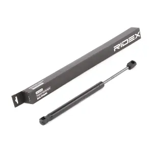 219G0793 RIDEX