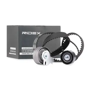 RIDEX 307T0111