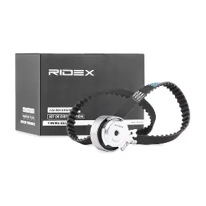 307T0087 RIDEX
