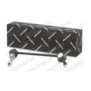 3229S0618 RIDEX