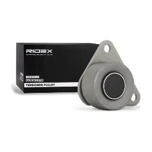 RIDEX 313D0046