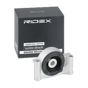 247E0338 RIDEX