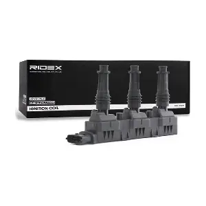 RIDEX 689C0228