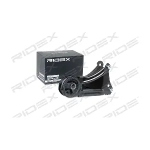 247E0221 RIDEX