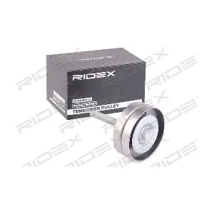 312D0112 RIDEX