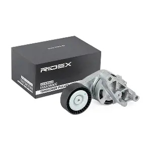 RIDEX 540T0017