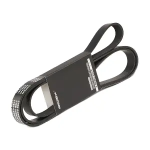 305P0229 RIDEX