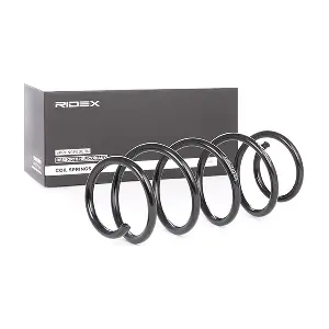 188C0038 RIDEX