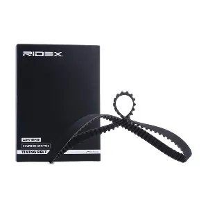 306T0305 RIDEX