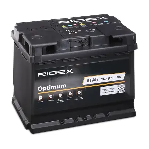 RIDEX 1S0008