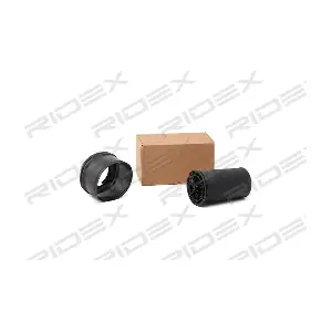4119A0008 RIDEX