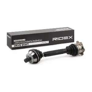13D0038 RIDEX