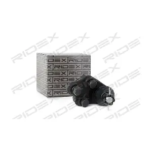 2462S0125 RIDEX