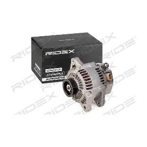 4G0821 RIDEX
