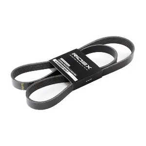 RIDEX 305P0066