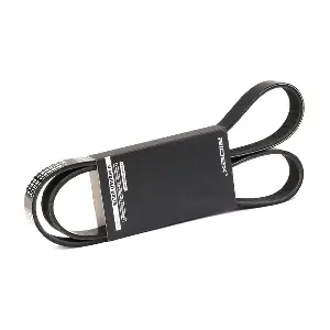 305P0231 RIDEX