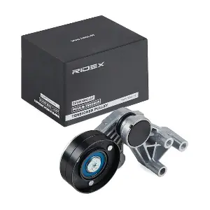 310T0379 RIDEX