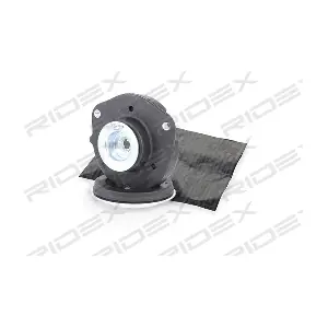 RIDEX 1180S0171