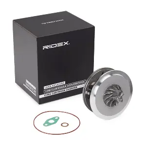 4973C0173 RIDEX