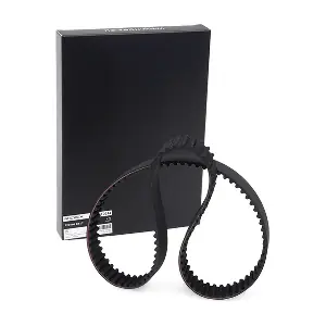 306T0244 RIDEX