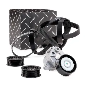 RIDEX 542R0210