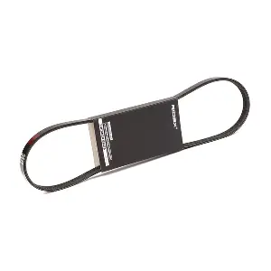 305P0299 RIDEX