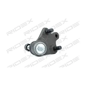 2462S0204 RIDEX