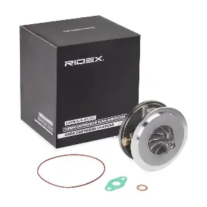 4973C0194 RIDEX