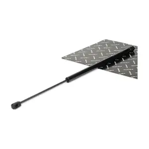 219G0310 RIDEX