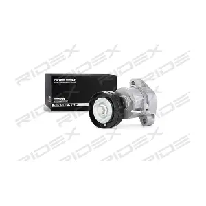 540T0018 RIDEX