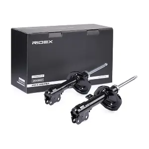 RIDEX 854S1751