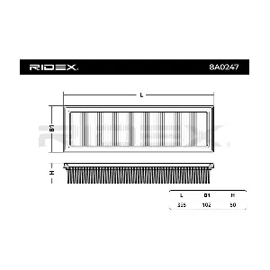 RIDEX 8A0247