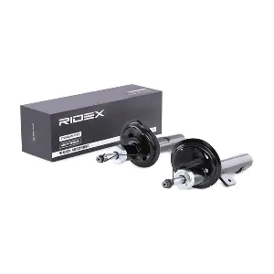 854S1379 RIDEX