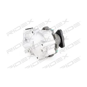 RIDEX 12H0061