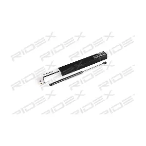 219G0219 RIDEX