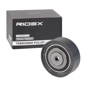 313D0066 RIDEX