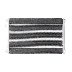 RIDEX 448C0006