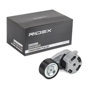 310T0440 RIDEX