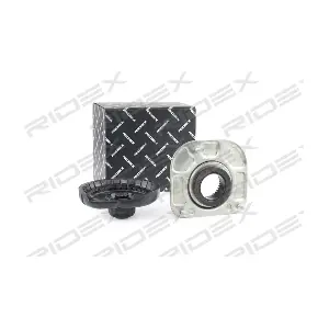 1180S0295 RIDEX