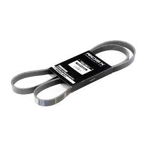 305P0042 RIDEX