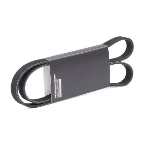 RIDEX 305P0474