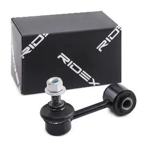 3229S0196 RIDEX