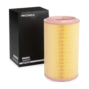 RIDEX 8A0538