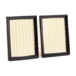 RIDEX 8A0105