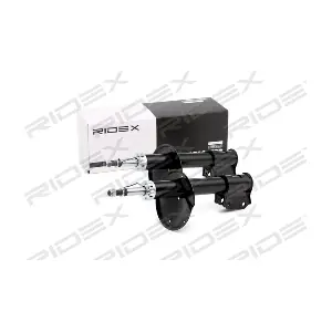 854S2290 RIDEX
