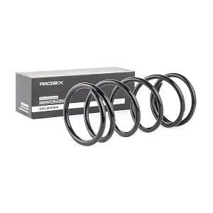 188C0163 RIDEX