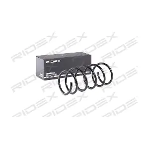 188C0431 RIDEX