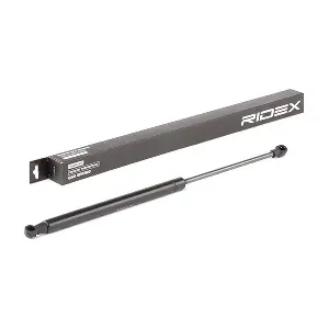 219G0356 RIDEX