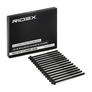 1217B0060 RIDEX
