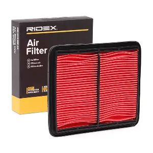 RIDEX 8A0114